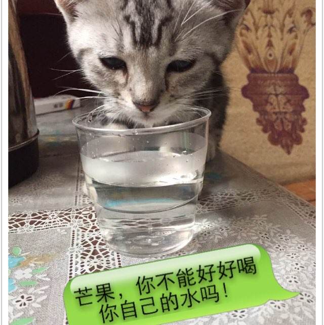 美国苹果绑定信用卡以后支付限购